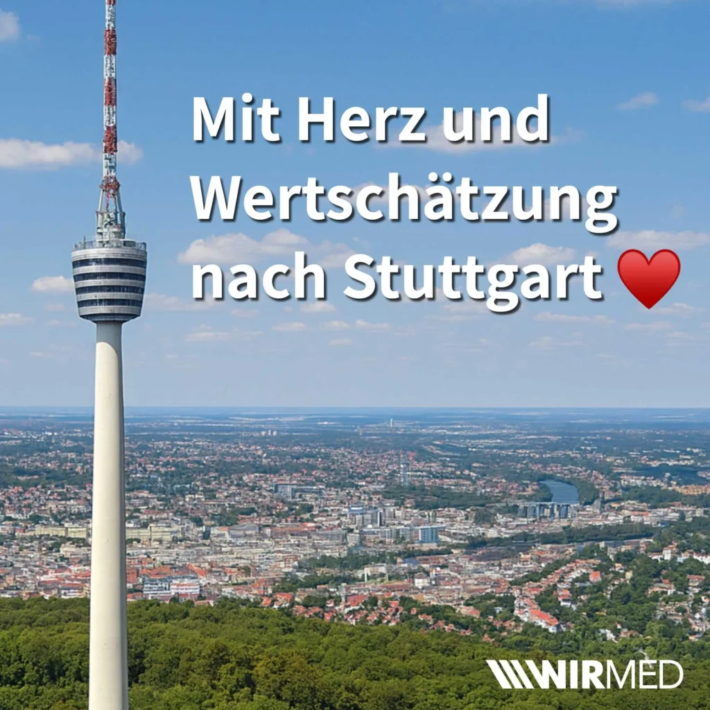 wirmed stuttgart 2025